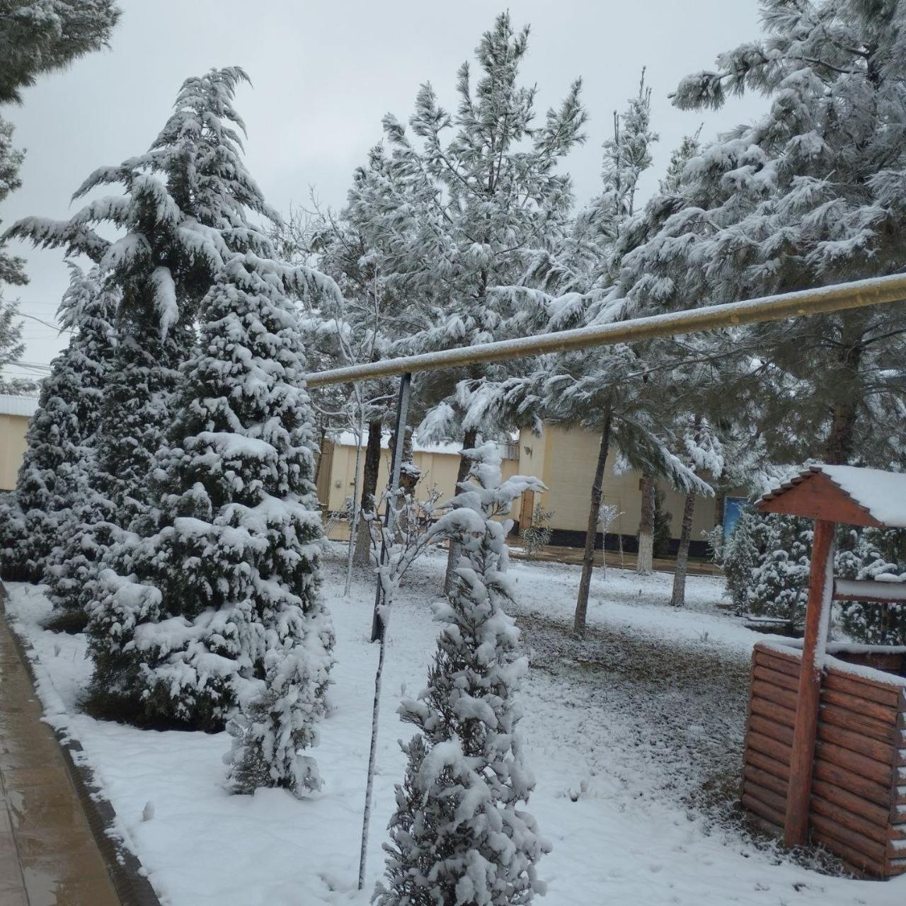 Admiral Hotel Termez Exterior photo